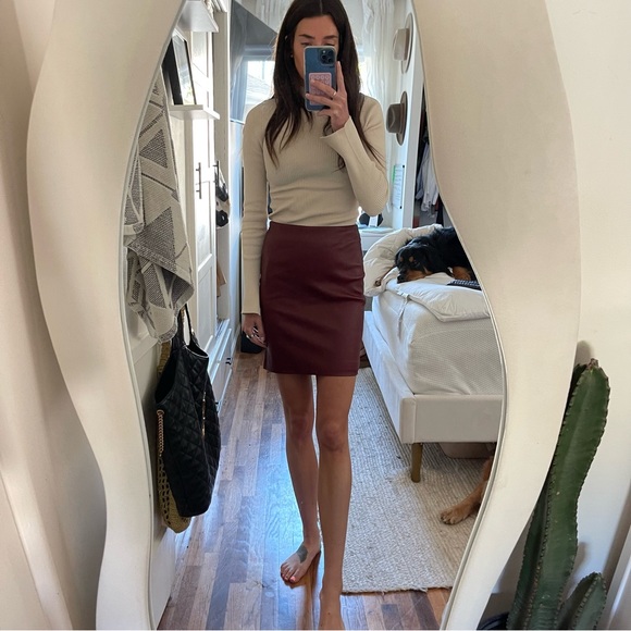 The Row Ebarg Leather Mini Skirt Plum - Picture 7 of 10